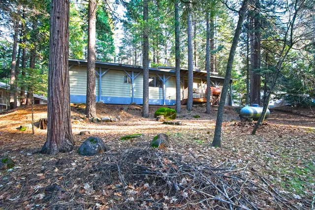 a view of a house with a backyard and a tree
