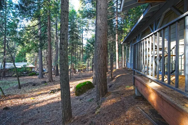 a view of a trees and yard
