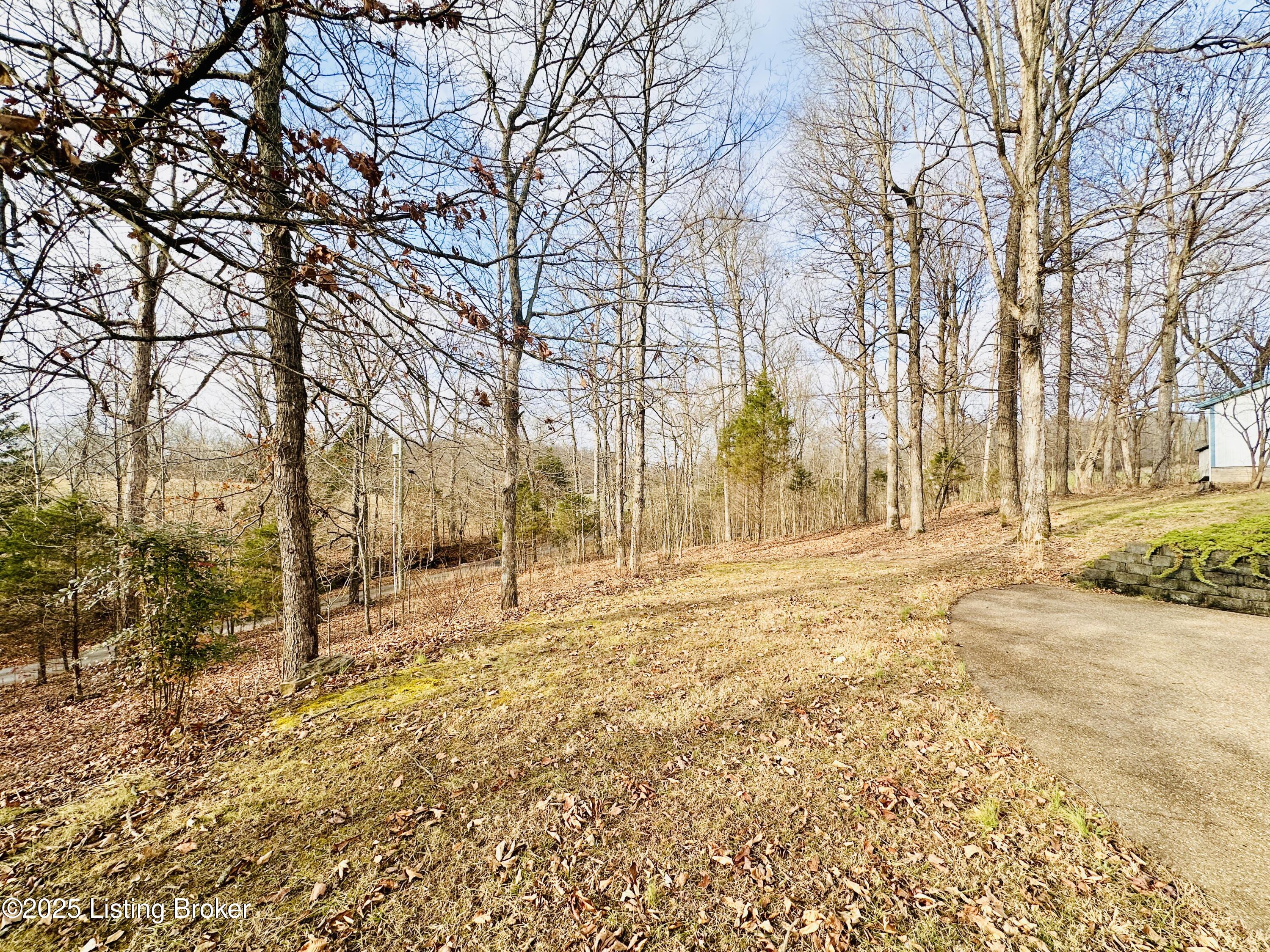 400 Cockrell Road Caneyville, KY 42721 - Photo 106 of 138 Property photos-6