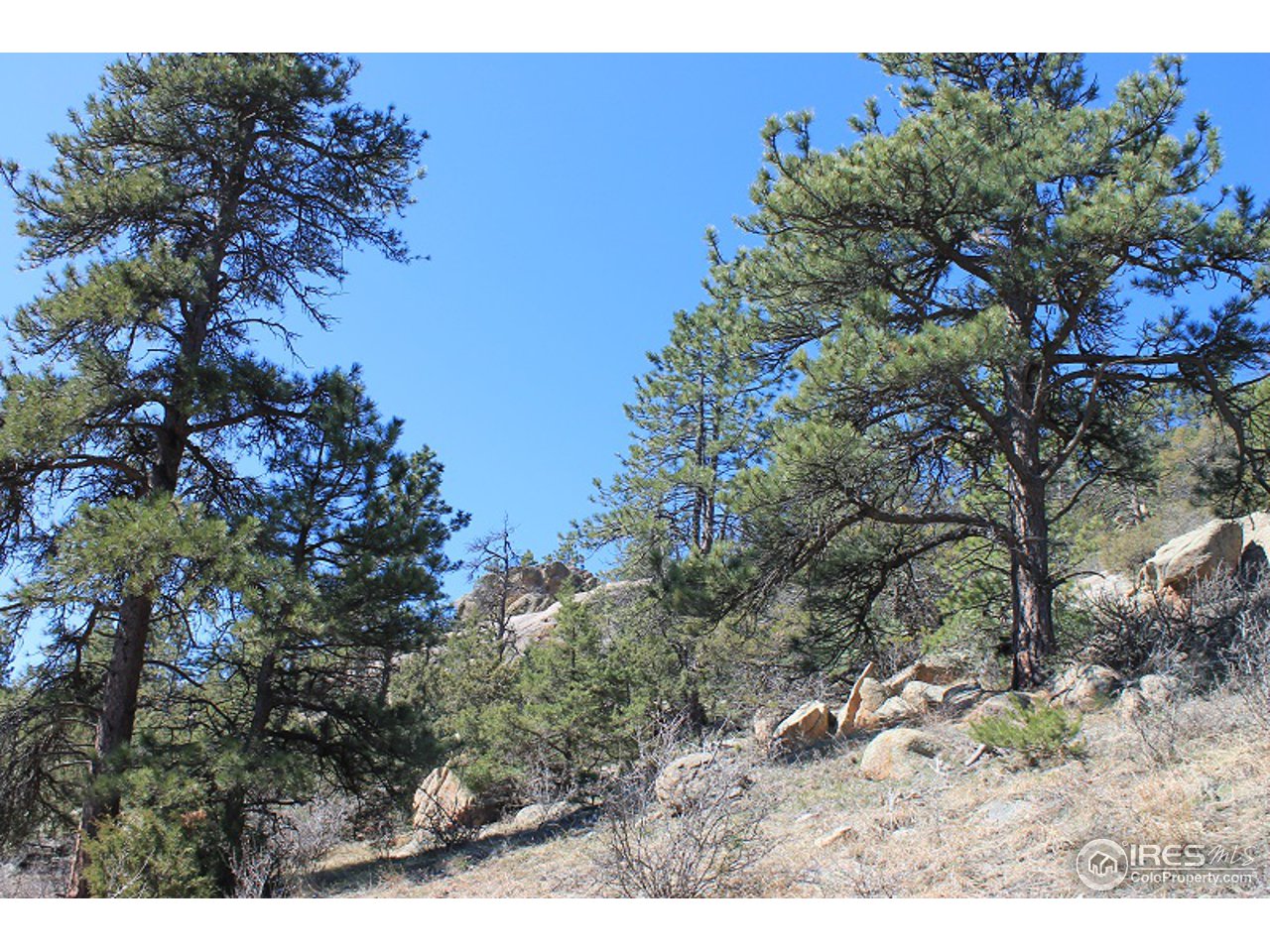 0 Bonner Springs Ranch Road Laporte, CO 80535 - Photo 11 of 14 Gallery Image 11