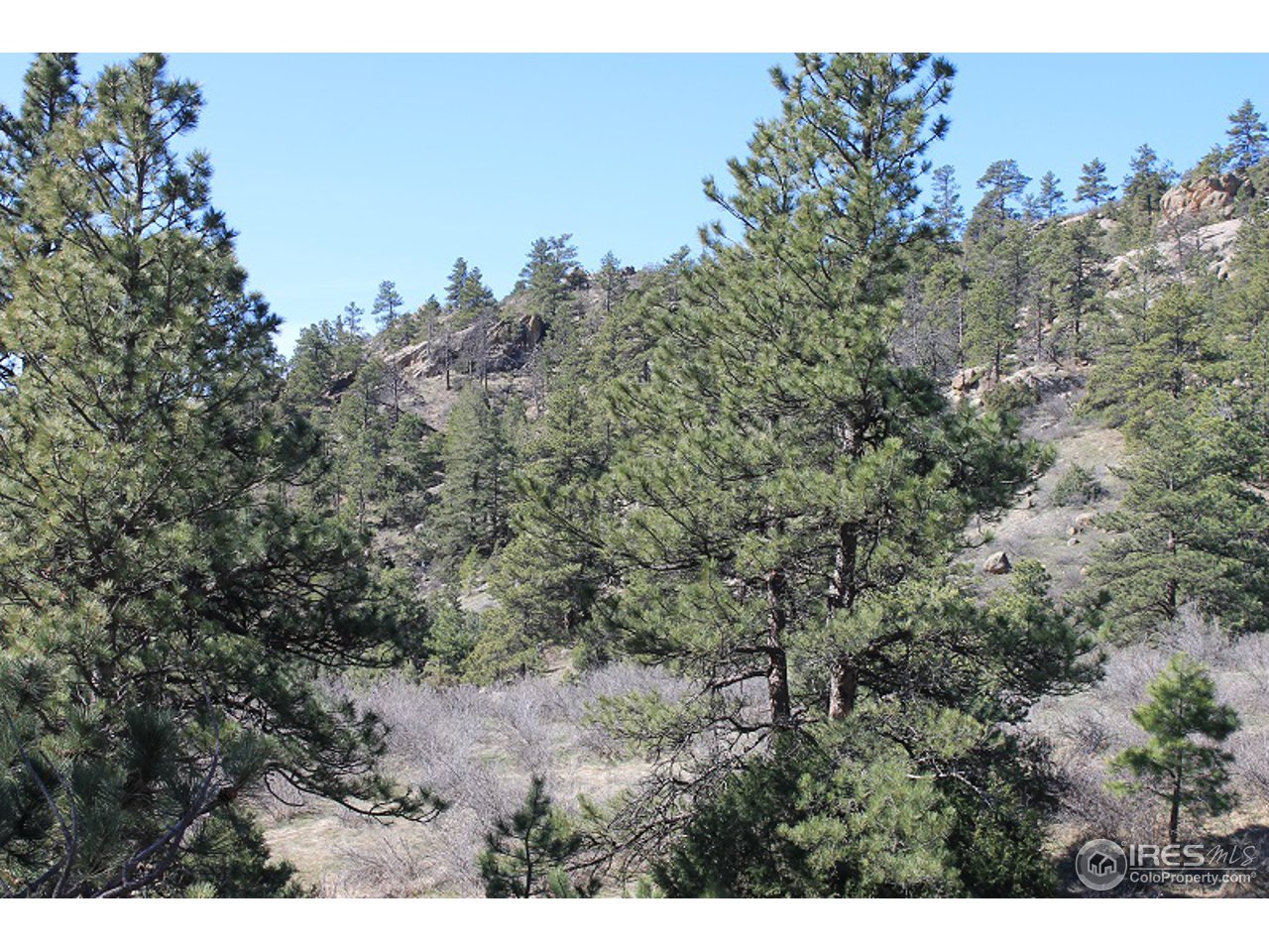 0 Bonner Springs Ranch Road Laporte, CO 80535 - Photo 2 of 14 Beautiful Valley