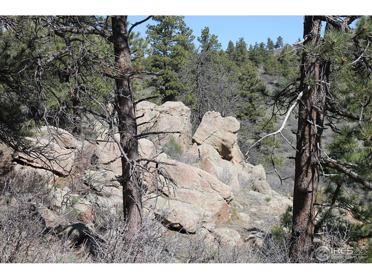 0 Bonner Springs Ranch Road Laporte, CO 80535 - Photo 5 of 14 Great Rock Outcroppings