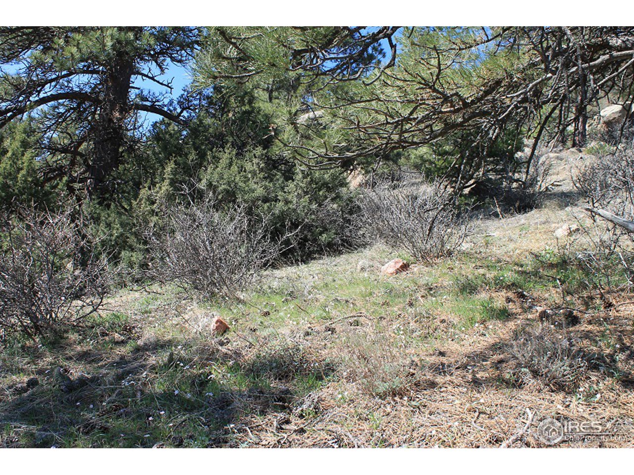 0 Bonner Springs Ranch Road Laporte, CO 80535 - Photo 7 of 14 Gallery Image 7