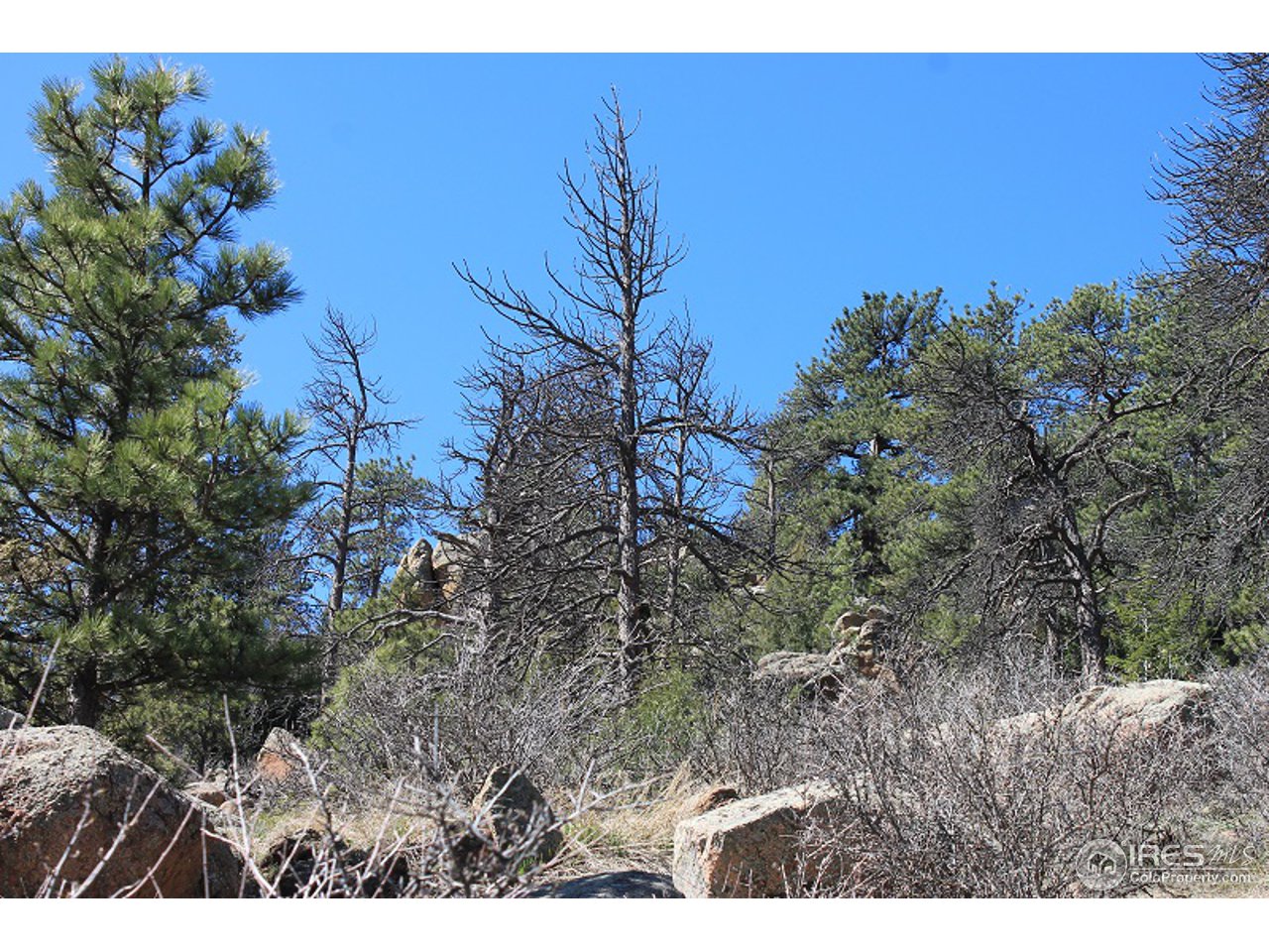 0 Bonner Springs Ranch Road Laporte, CO 80535 - Photo 10 of 14 Gallery Image 10