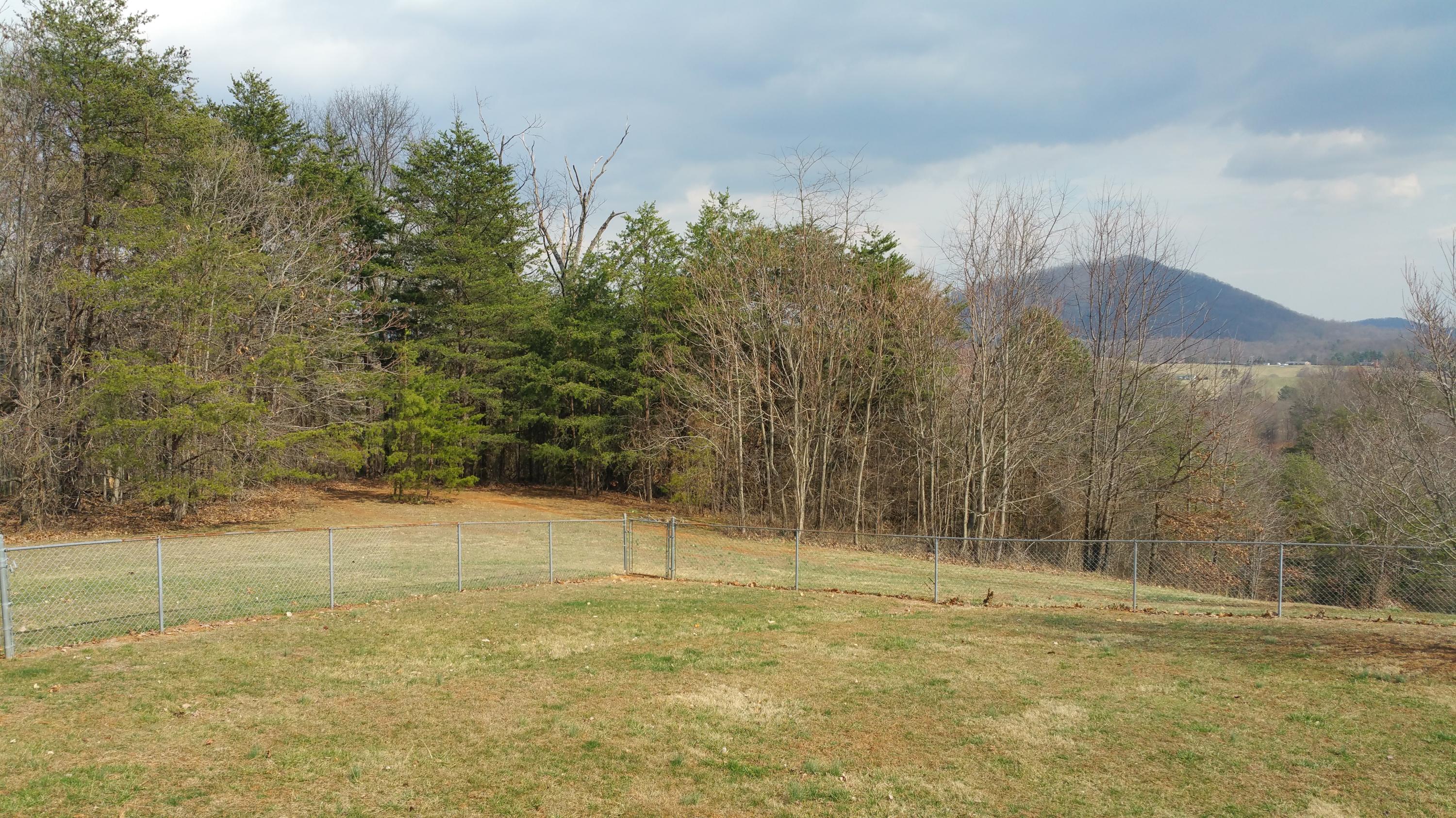105 Indian Rose Road Vinton, VA 24179 - Photo 5 of 44 2015-03-17 15.44.48 - Copy.jpg