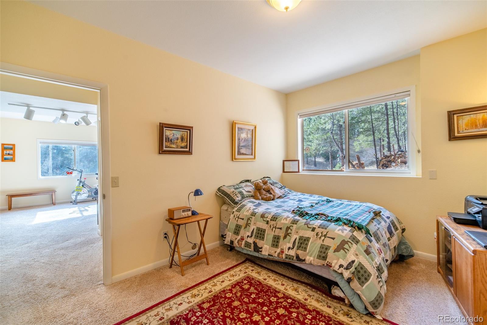 13499 Elsie Road Conifer, CO 80433 - Photo 24 of 37 Gallery Image 24