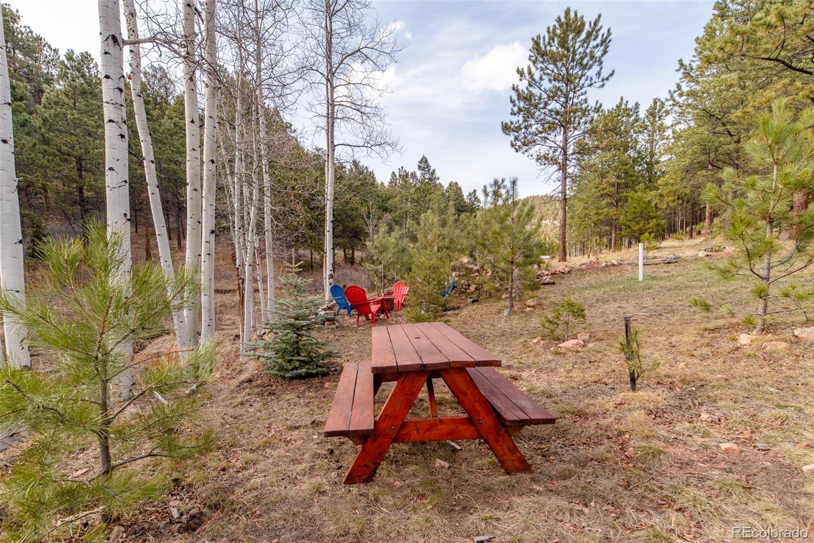 13499 Elsie Road Conifer, CO 80433 - Photo 3 of 37 Gallery Image 3
