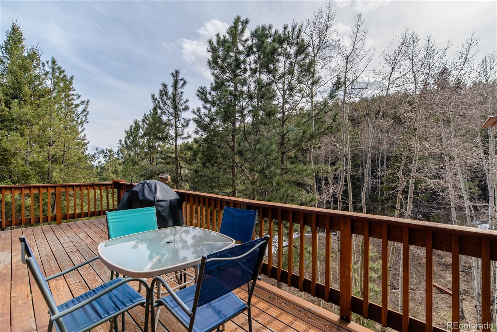 13499 Elsie Road Conifer, CO 80433 - Photo 32 of 37 Gallery Image 32