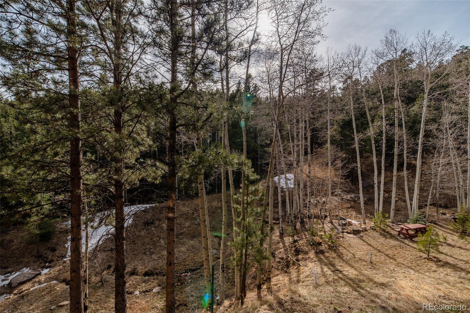 13499 Elsie Road Conifer, CO 80433 - Photo 33 of 37 Gallery Image 33