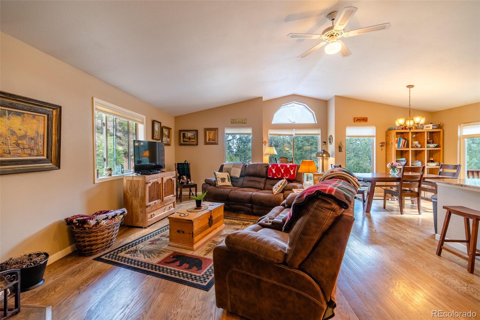 13499 Elsie Road Conifer, CO 80433 - Photo 7 of 37 Gallery Image 7
