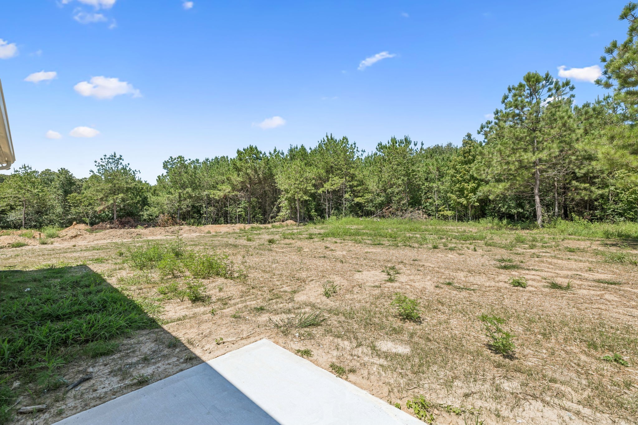 146 Old Brick Church Road Estill Springs, TN 37330 - Photo 40 of 44 a view of a yard with a tree