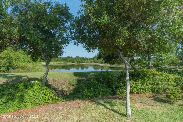 a view of a garden with a tree