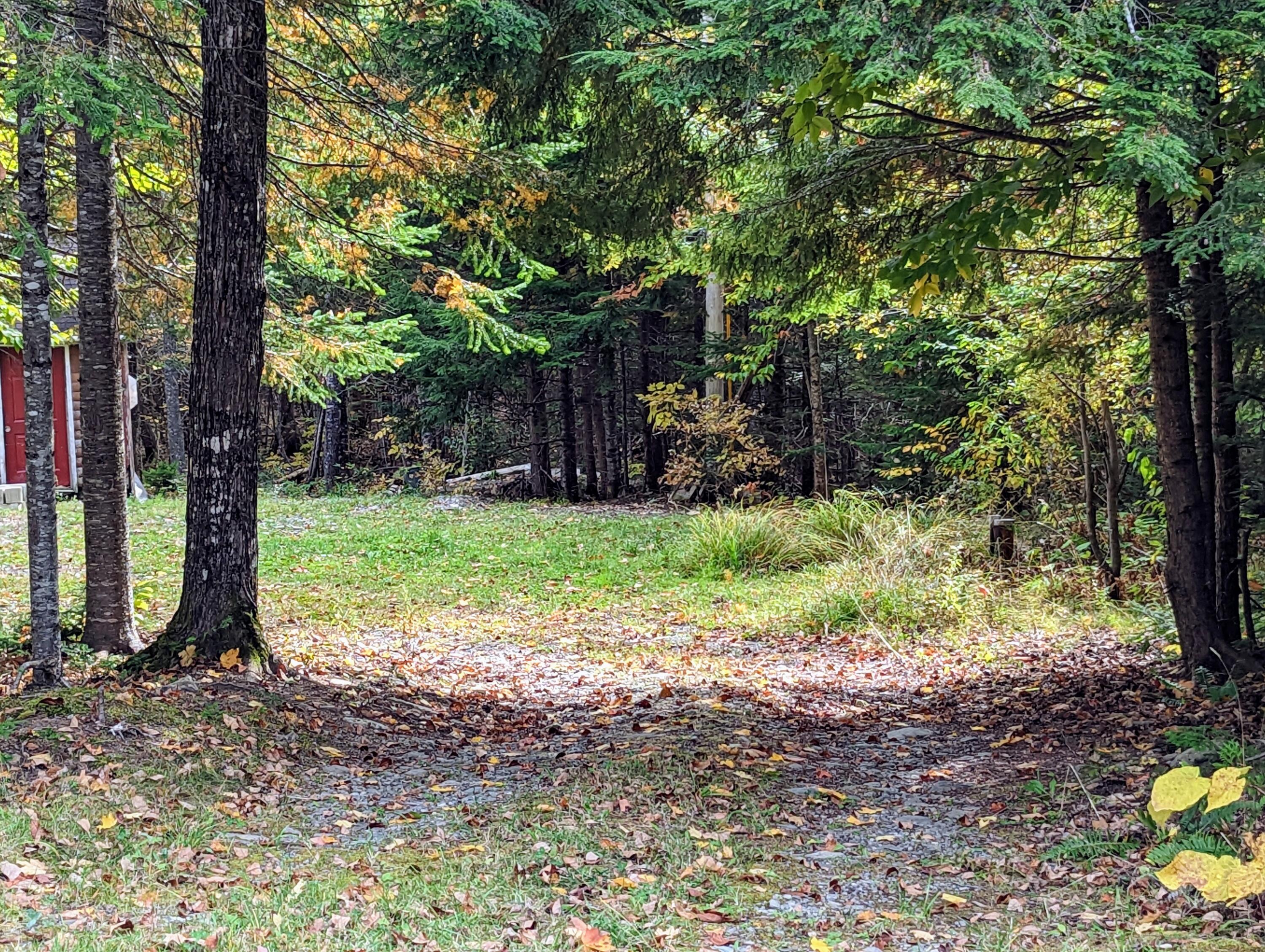 149 Pond Road Dyer Brook, ME 04747 - Photo 26 of 71 1000003041