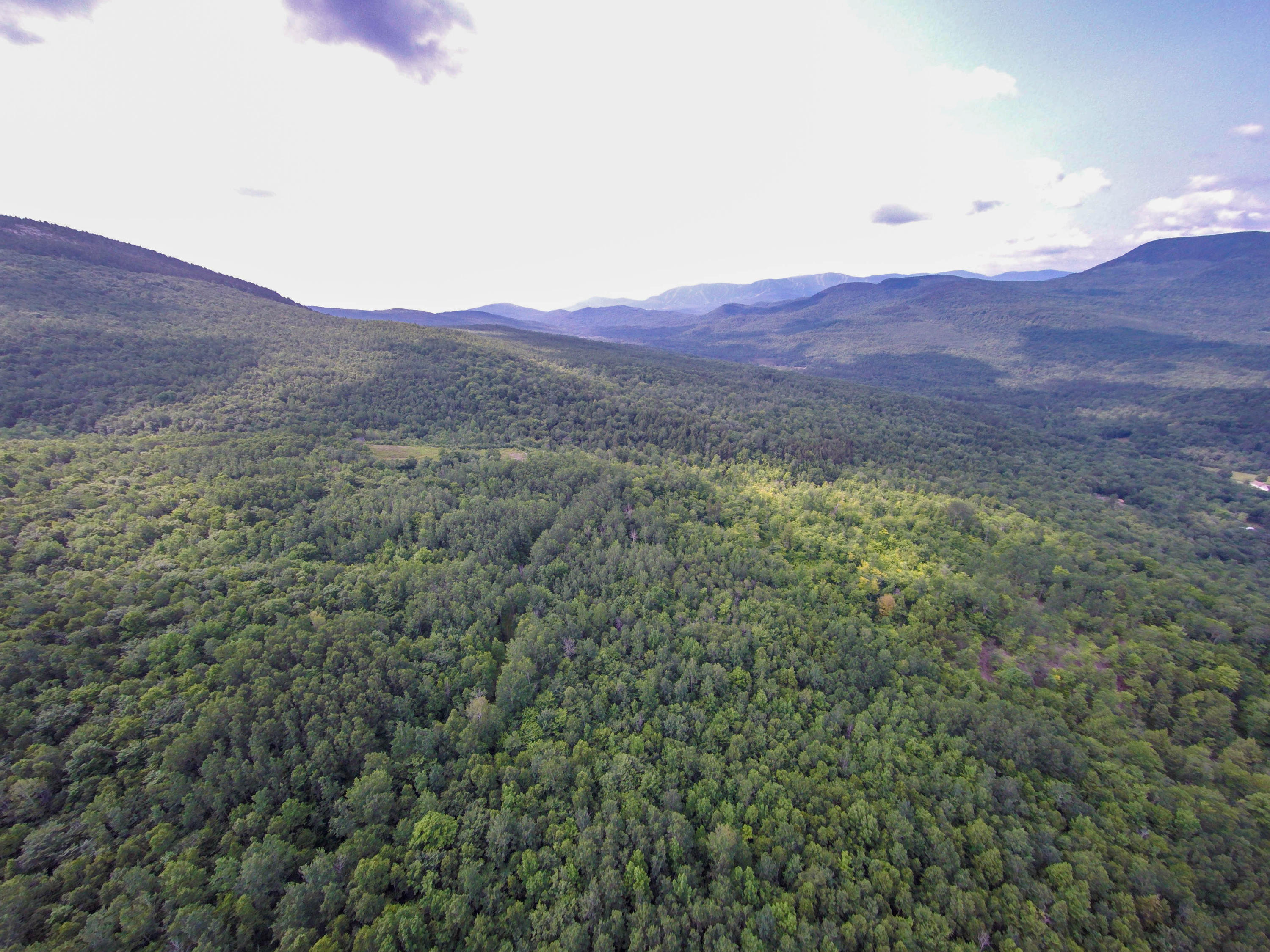 Lot 1 Puzzle Mountain Road Newry, ME 04261 - Photo 24 of 25 Bob Stewart Land-3