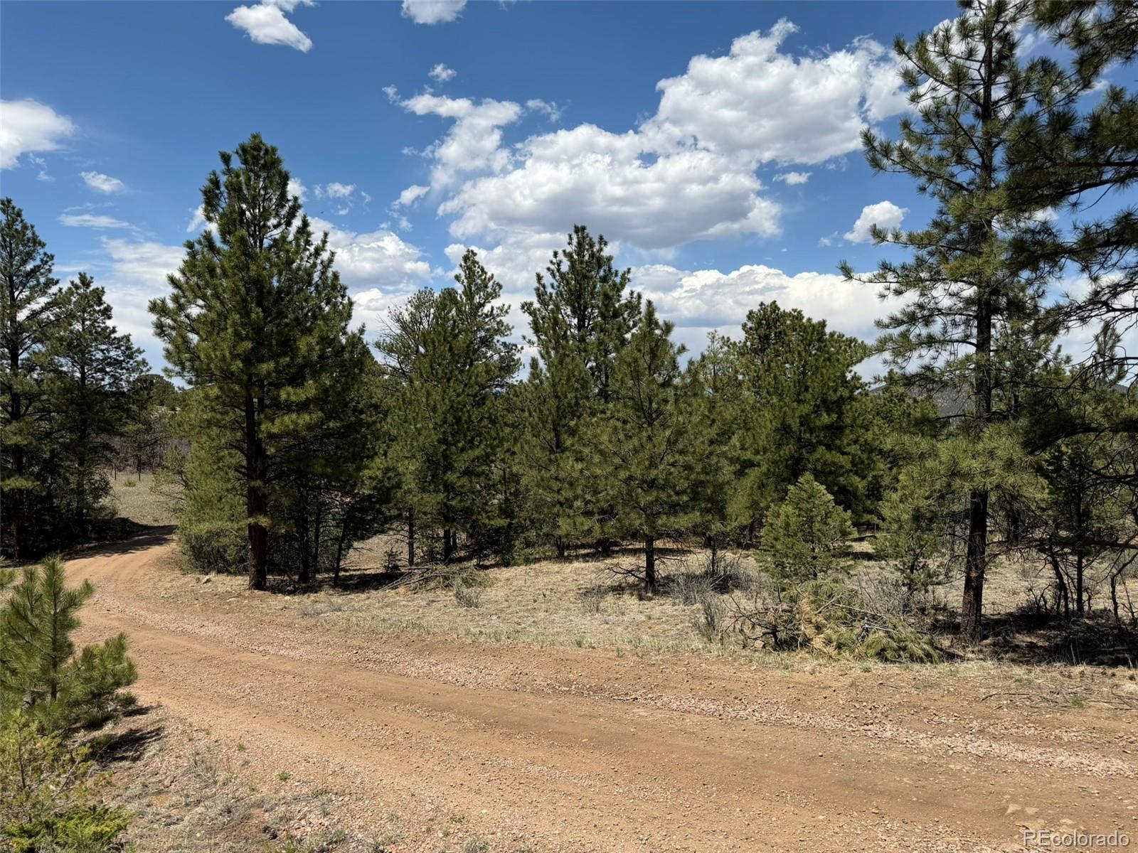 477 Bear Peak Road Westcliffe, CO 81252 - Photo 3 of 39