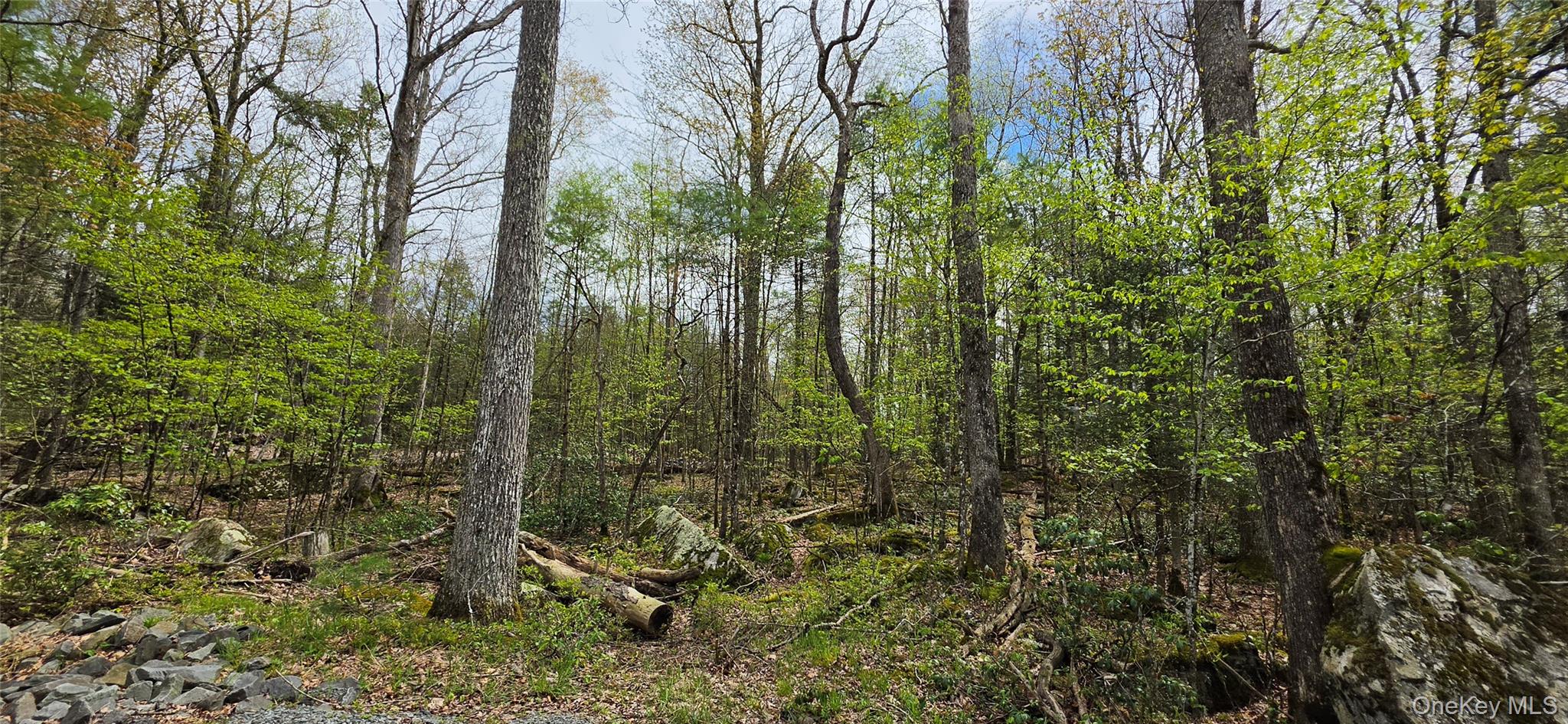Lot 82 Perry Pond Road Narrowsburg, NY 12764 - Photo 8 of 14