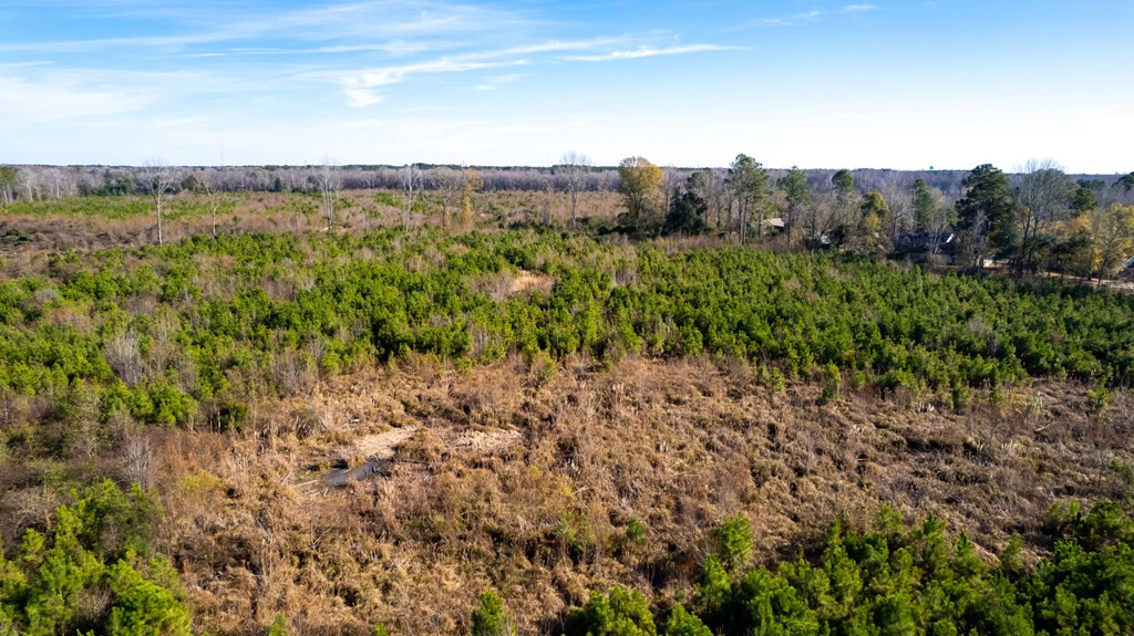 1235 Manning Road Sumter, SC 29150 - Photo 2 of 10 Gallery Image 2