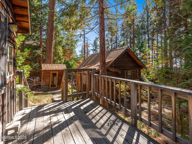 a view of a forest with lots of trees