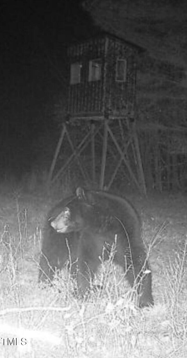 0 Fielding Knott Road Oxford, NC 27565 - Photo 5 of 21 Trailcam pic