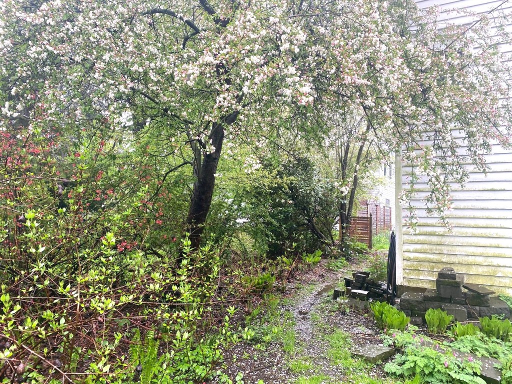 49 Front Street Owego, NY 13827 - Photo 38 of 45