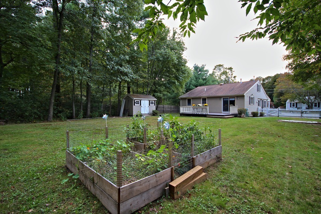 40 Reeds Lane Holbrook, MA 02343 - Photo 6 of 20 Gallery Image 6