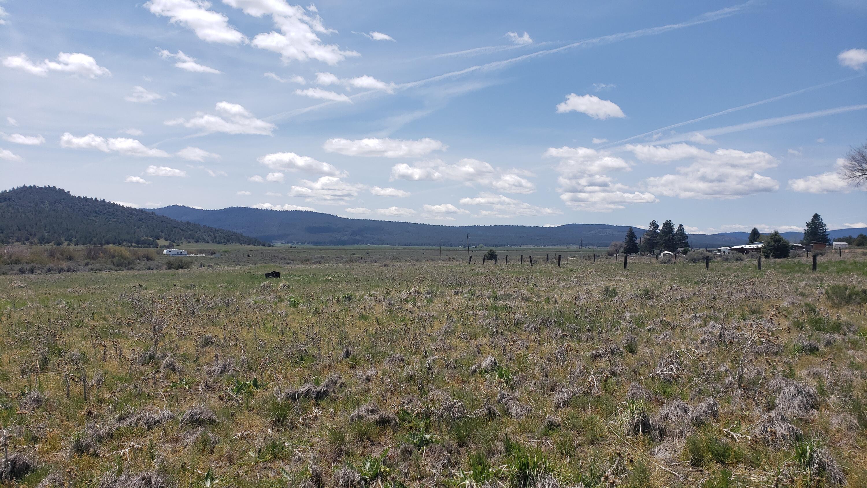 Lot 1100 Drews Road Chiloquin, OR 97624 - Photo 3 of 10 20220523_124024