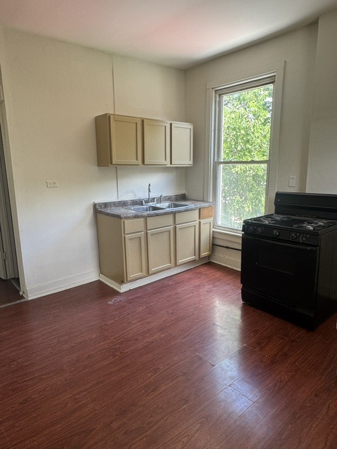 4445 West Maypole Avenue Chicago, IL 60624 - Photo 14 of 26