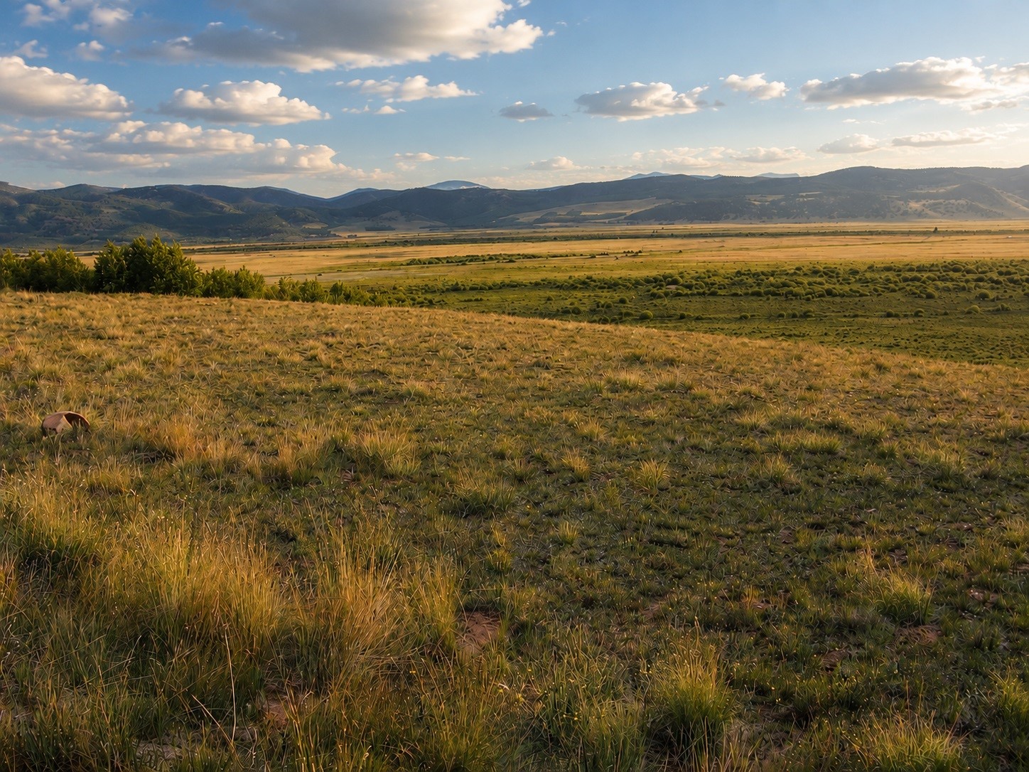 1327 Michigan Hill Road Jefferson, CO 80456 - Photo 9 of 9