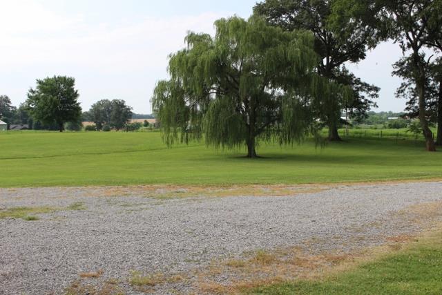 5363 Dowlen Road Cedar Hill, TN 37032 - Photo 4 of 20 View of front side yard from garage.