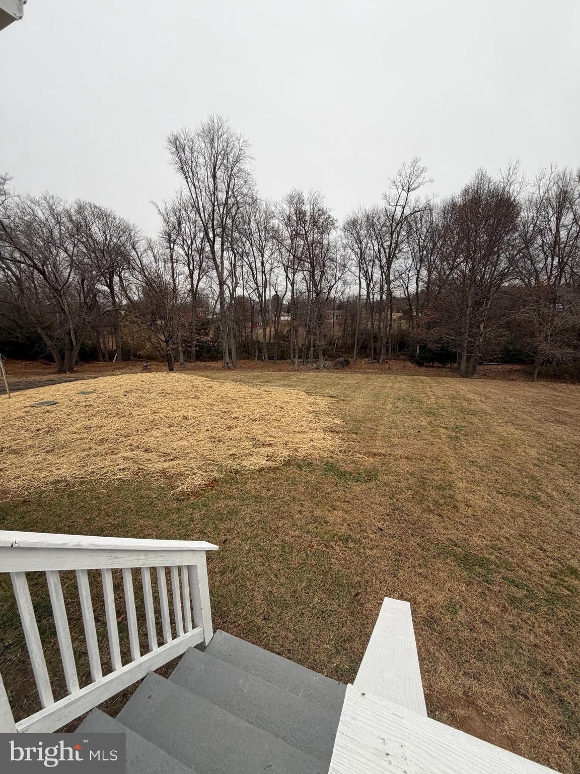 47 McCarty Road Fredericksburg, VA 22405 - Photo 26 of 43 Backs to 2.25 Acre