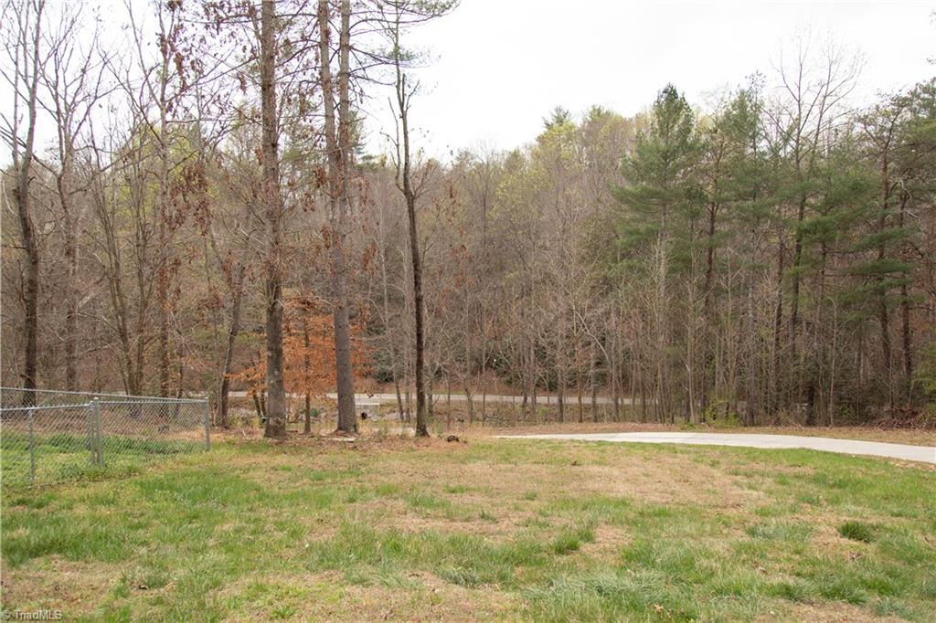 4106 Congo Road Wilkesboro, NC 28697 - Photo 3 of 23