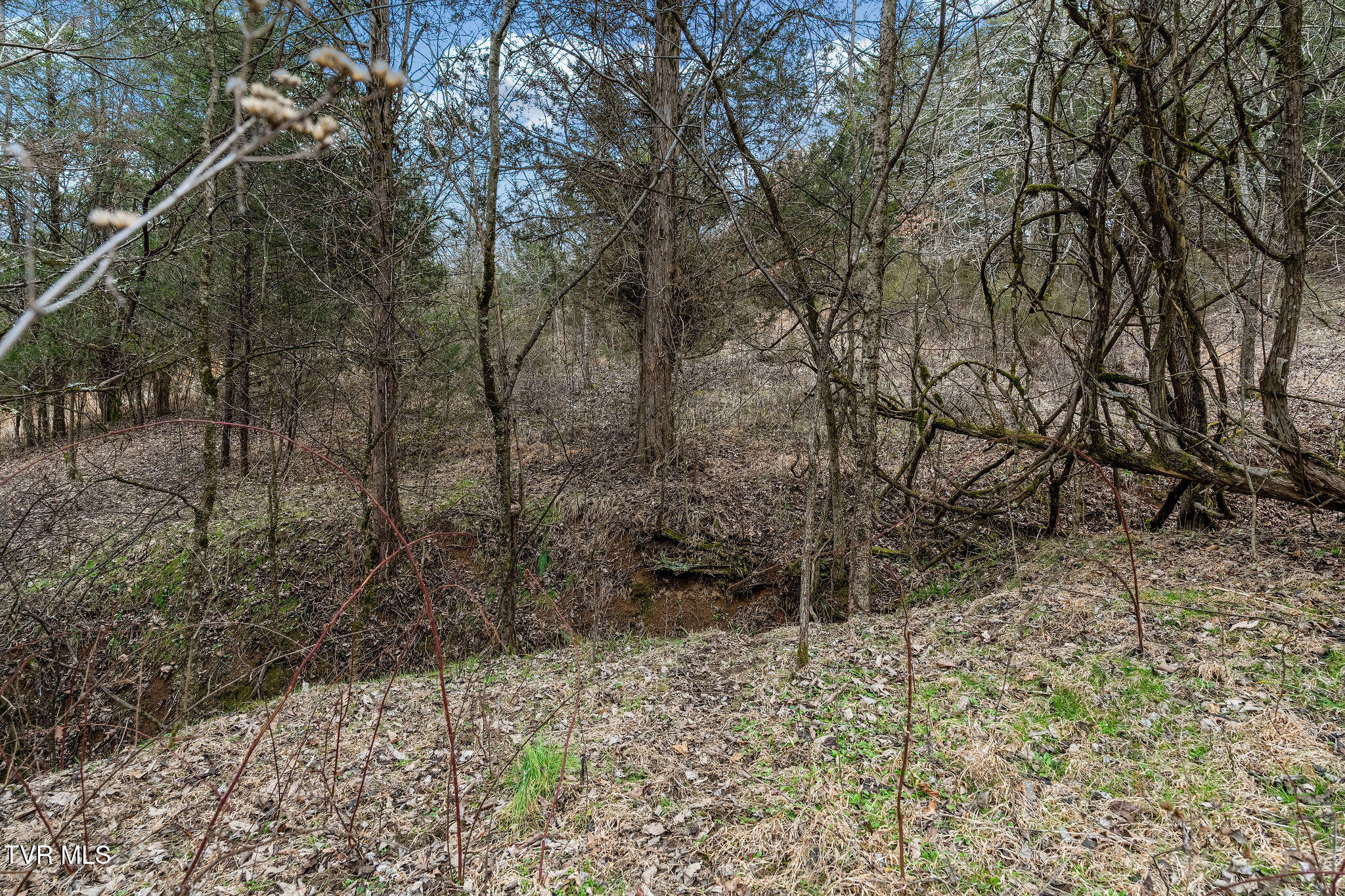 Tbd Smithtown Road Afton, TN 37616 - Photo 35 of 52 DSC03791