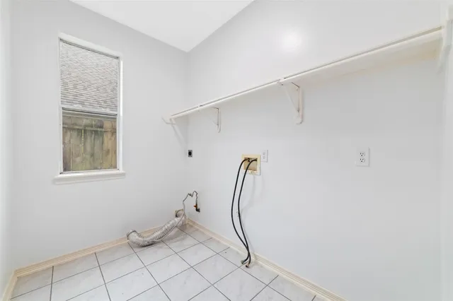 a view of a backyard with plants and large trees