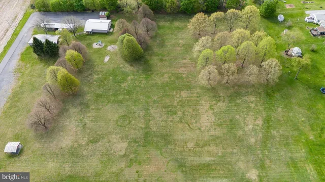 a backyard of a house with a garden and plants