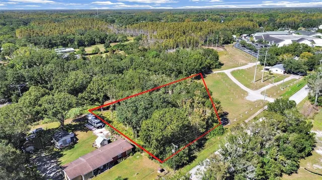 a view of a city with lush green forest