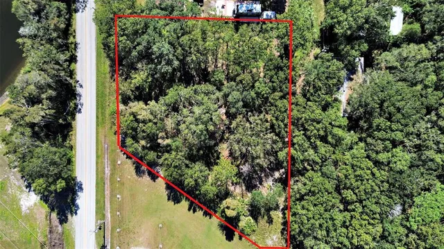 a view of a flower in a garden