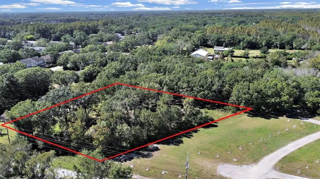 a view of a city with lush green space