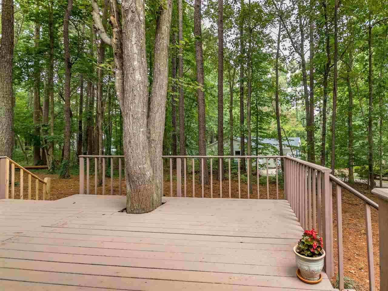 8701 Brandon Station Road Raleigh, NC 27613 - Photo 27 of 30 Also a great place to relax and take in all the seasons. Deck View 2