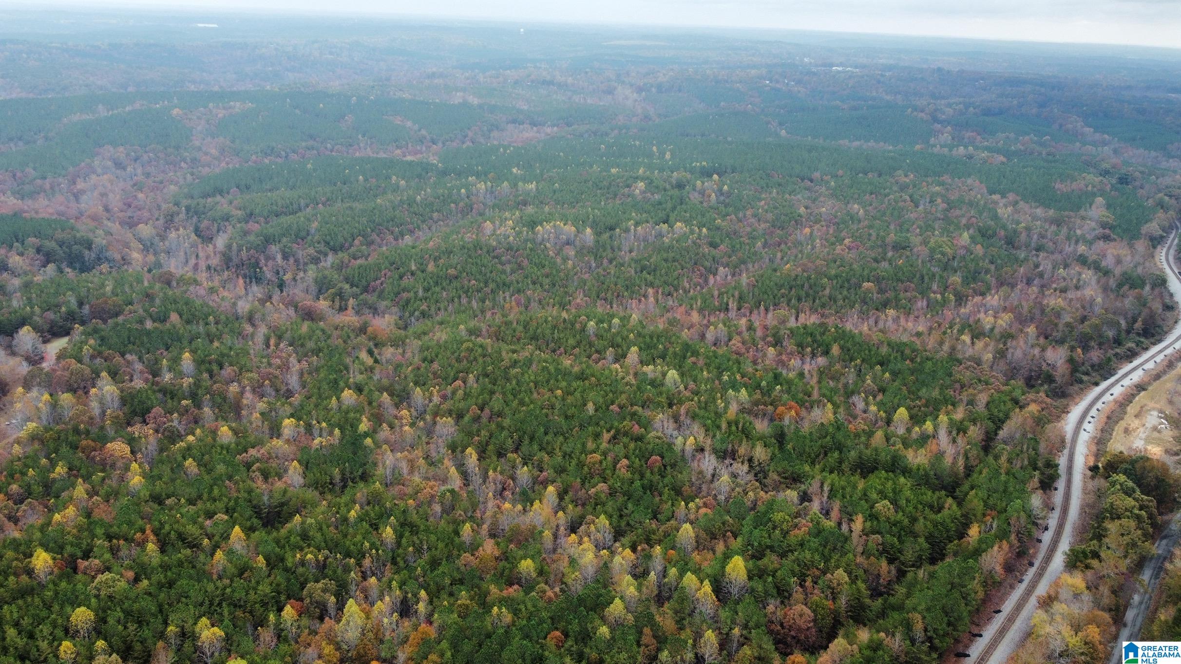 83-acres Byler Road, Unit 83 ACRES Haleyville, AL 35565 - Photo 9 of 19