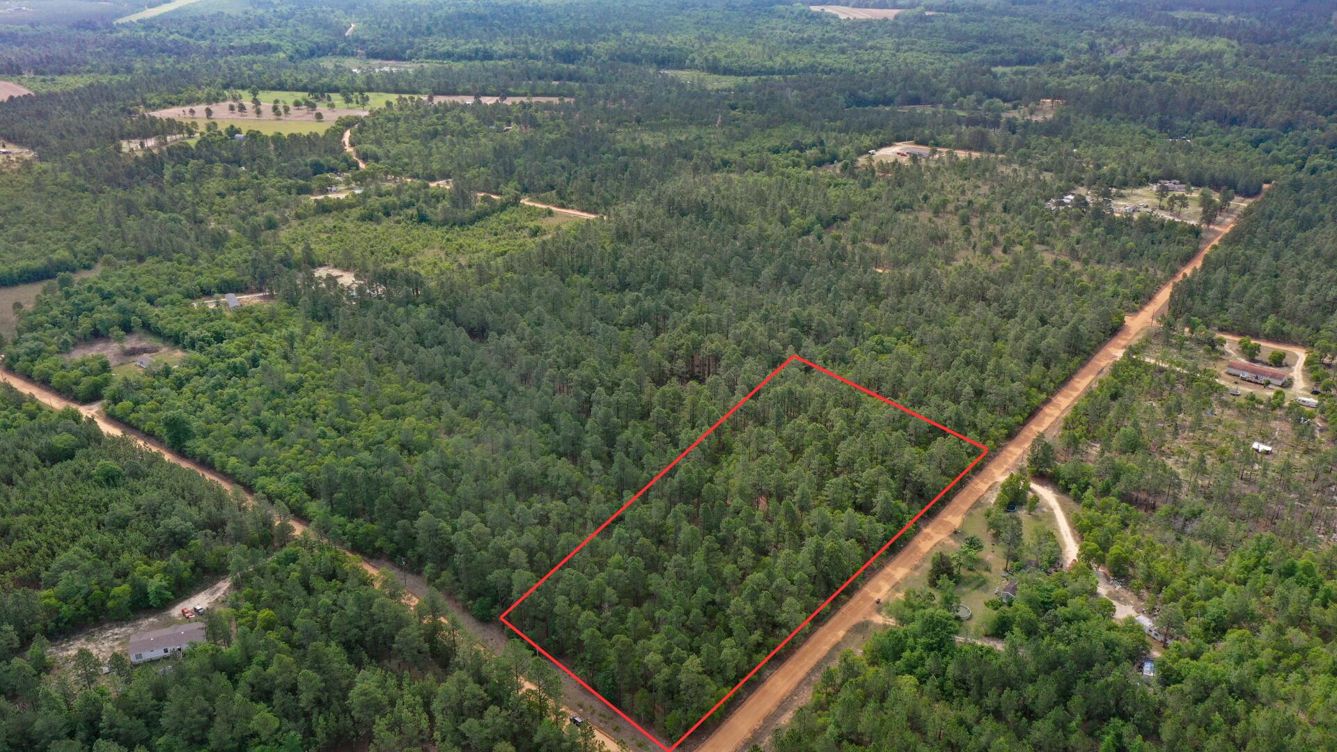 0 Webbs Pond Road Williston, SC 29853 - Photo 2 of 9