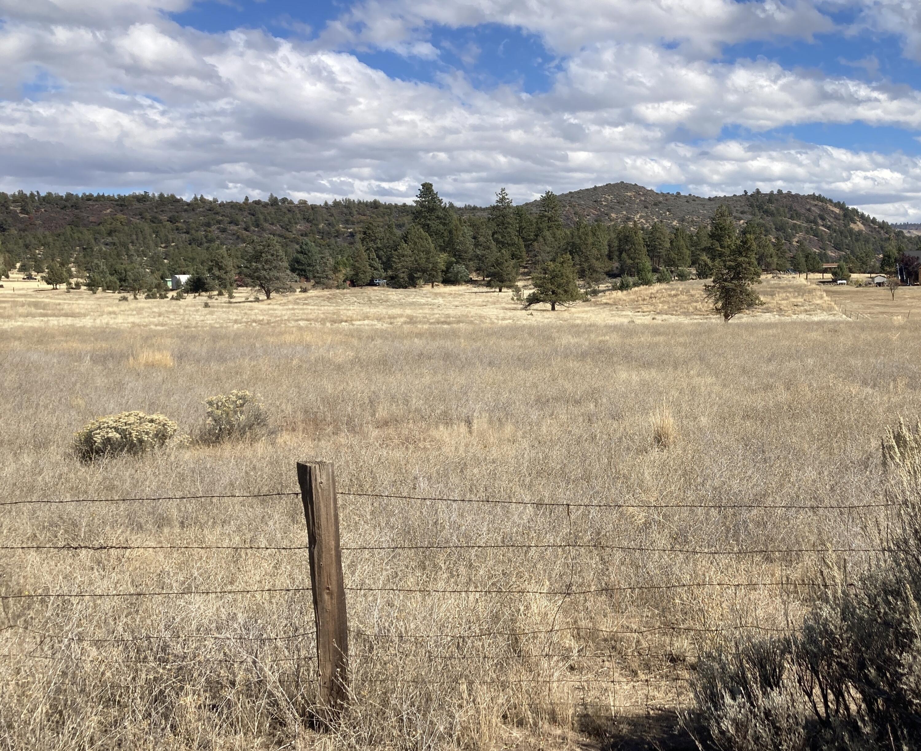 545-070 Ema-Lu Lane McArthur, CA 96056 - Photo 1 of 7 a view of lake