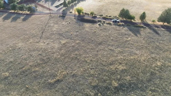 a view of a dry yard with wooden fence