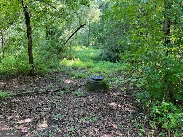 a view of a yard with plants and trees