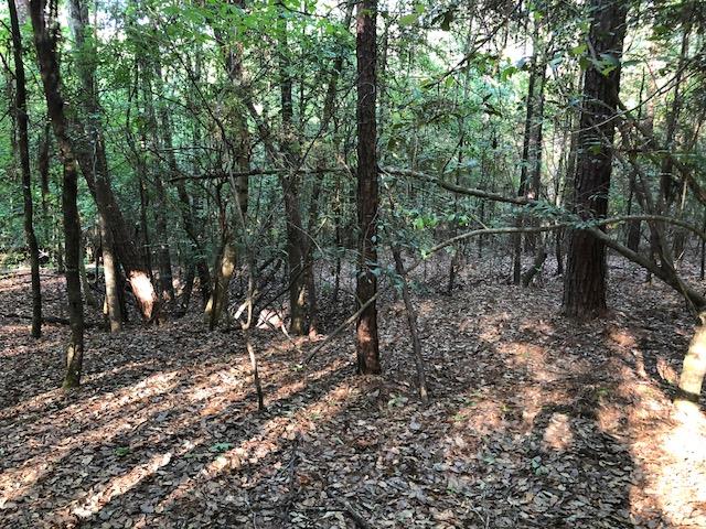 3-ac Lester Bell Road Selma, AL 36701 - Photo 1 of 11 Gallery Image 1