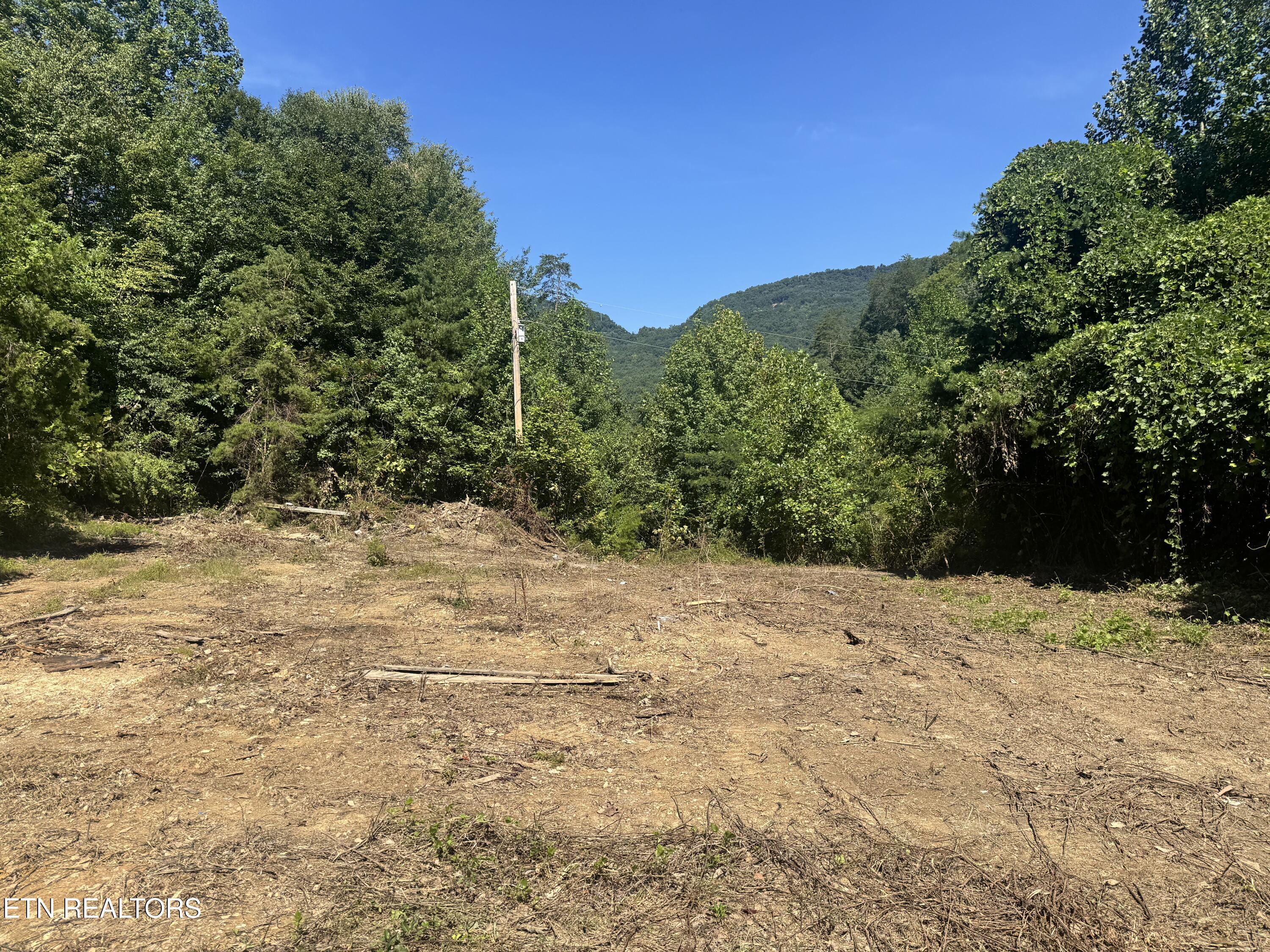 955 Rock Haven Road Bean Station, TN 37708 - Photo 20 of 28 Building Spot 3