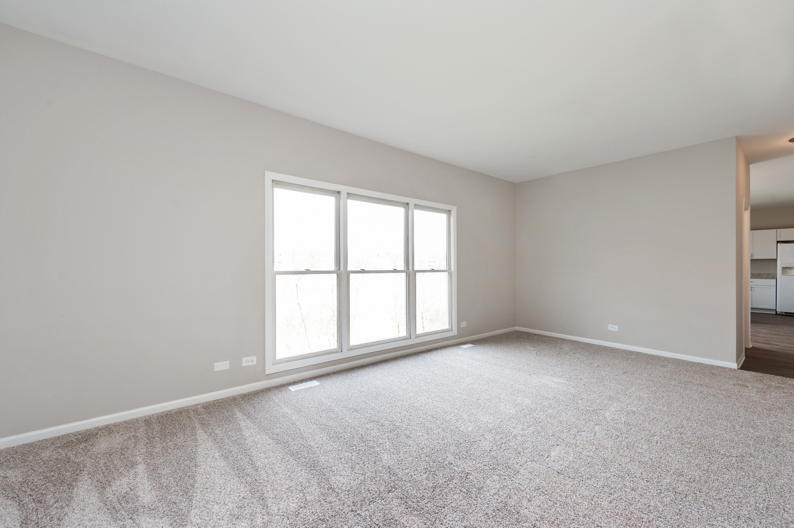 490 Flora Drive Algonquin, IL 60102 - Photo 11 of 25
