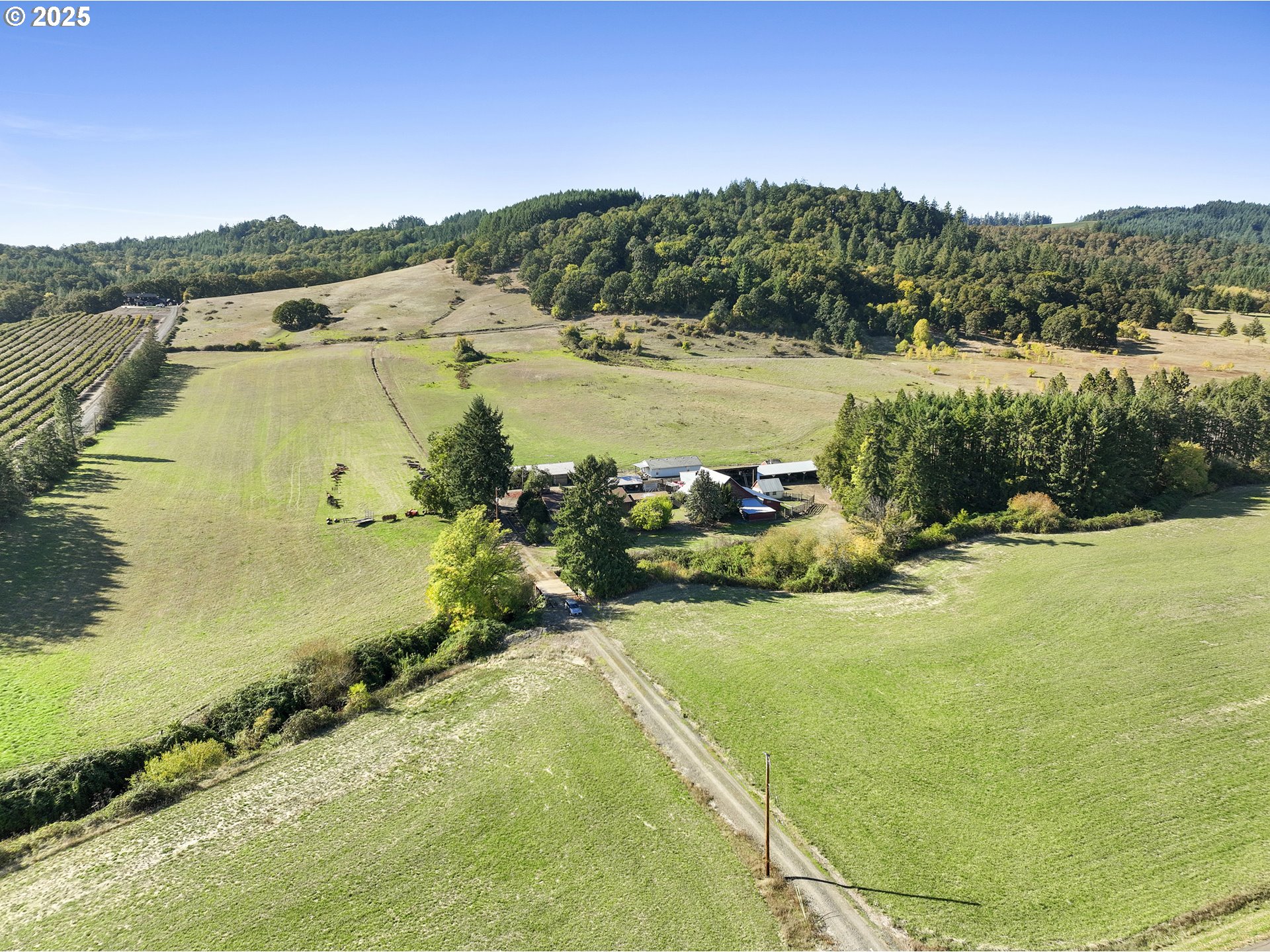 17300 Southwest Muddy Valley Road McMinnville, OR 97128 - Photo 15 of 31