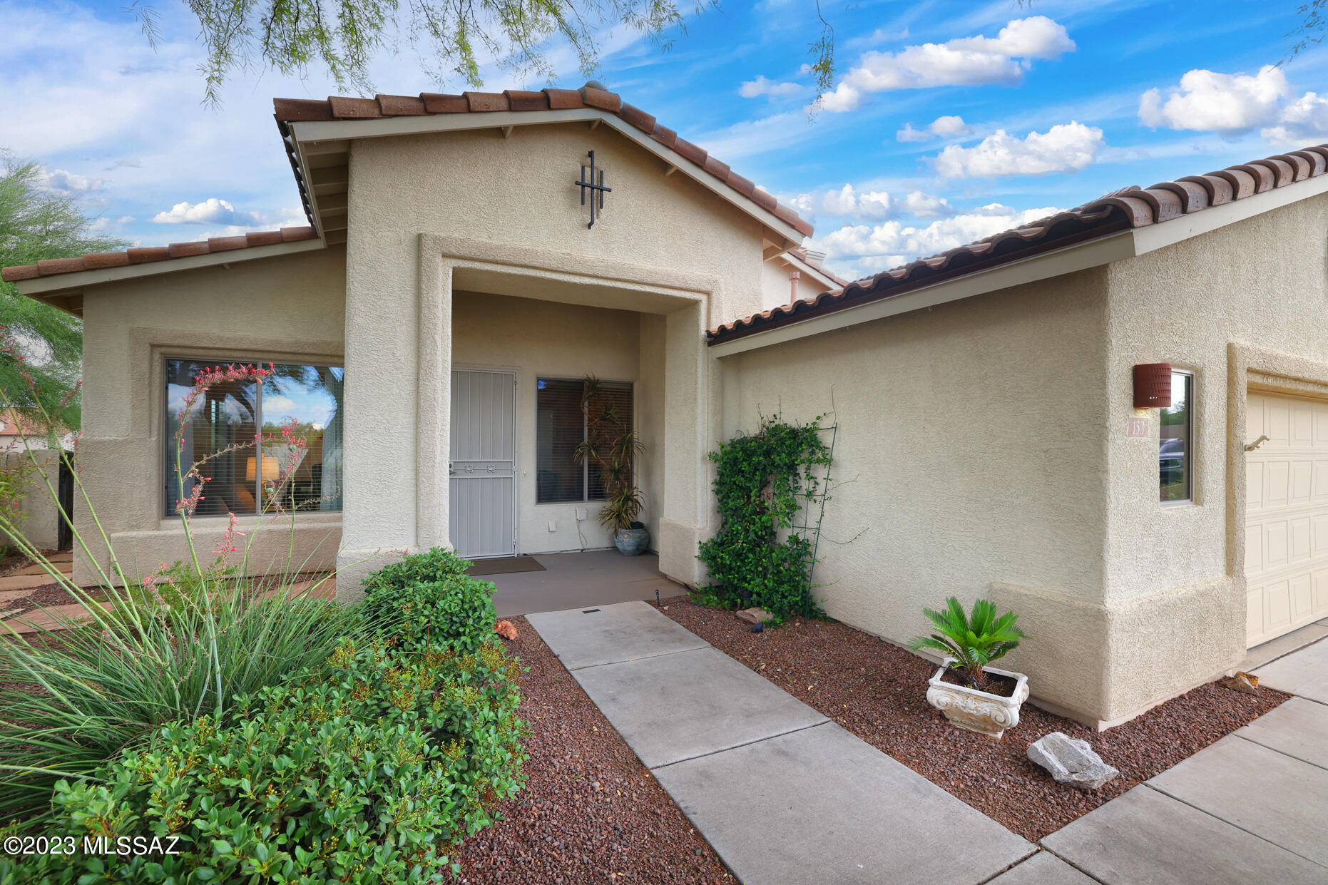 153 West Red Pepper Place Oro Valley, AZ 85755 - Photo 3 of 43