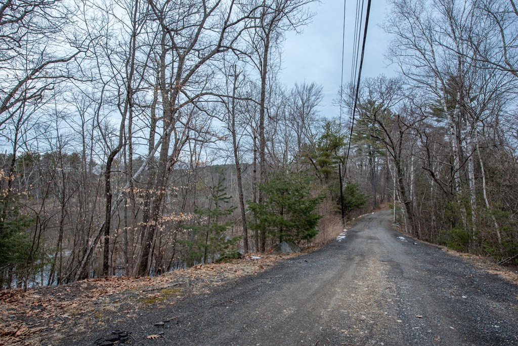 357 Ipswich Road Boxford, MA 01921 - Photo 28 of 28 a view of a forest with trees on both side