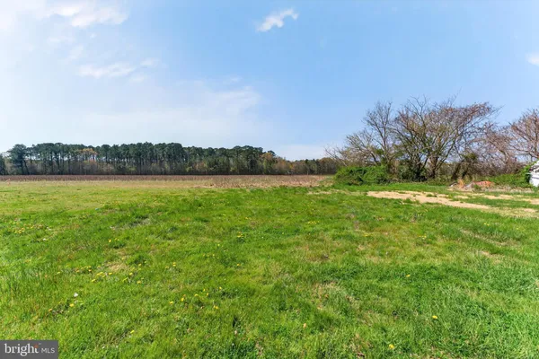 a view of a field with an ocean